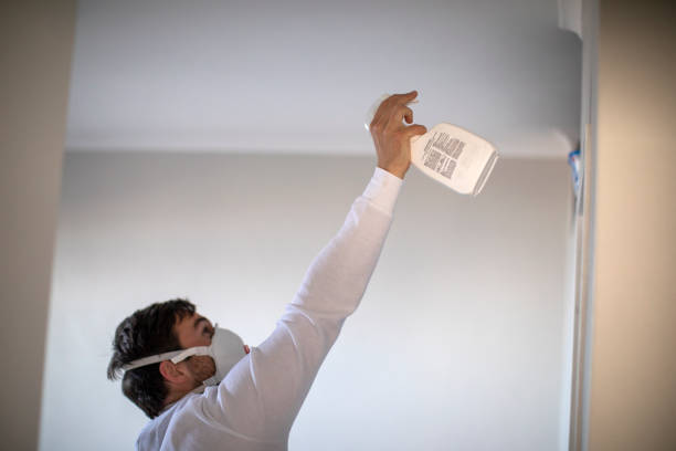 Best Mold Damage Repair  in Riva, MD