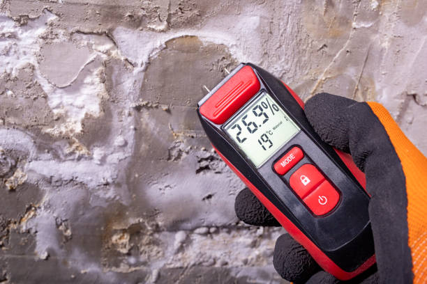 Certified Mold Removal in Riva, MD