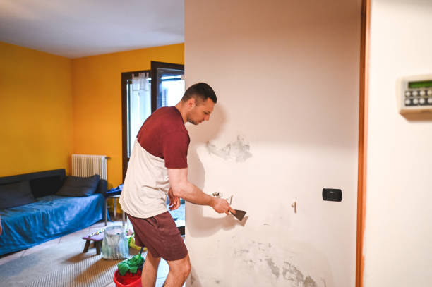 Best Attic Mold Removal  in Riva, MD