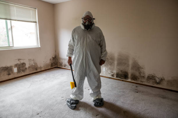 Best Attic Mold Removal  in Riva, MD